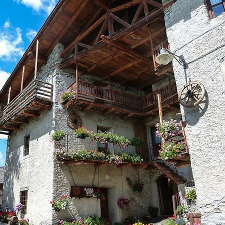צ'זנה טורינזה Agriturismo Barba Gust מראה חיצוני תמונה