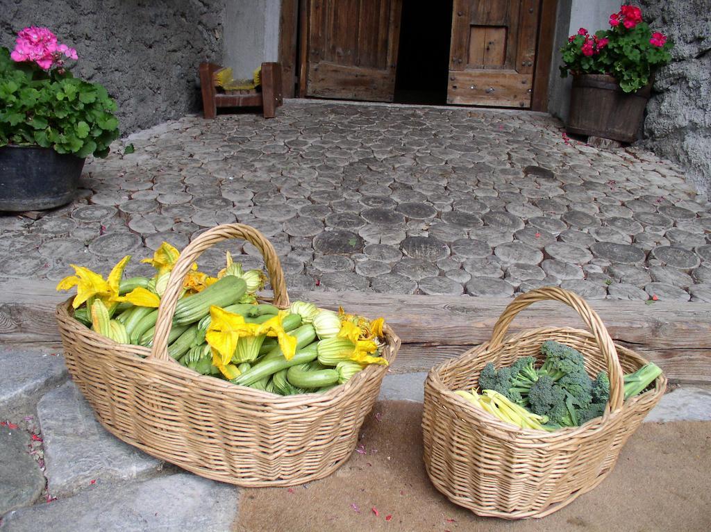 צ'זנה טורינזה Agriturismo Barba Gust מראה חיצוני תמונה