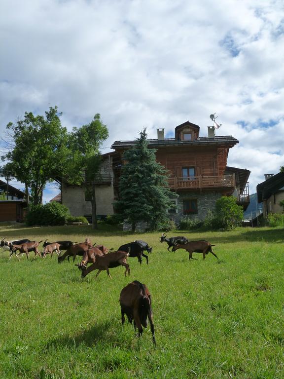 צ'זנה טורינזה Agriturismo Barba Gust מראה חיצוני תמונה