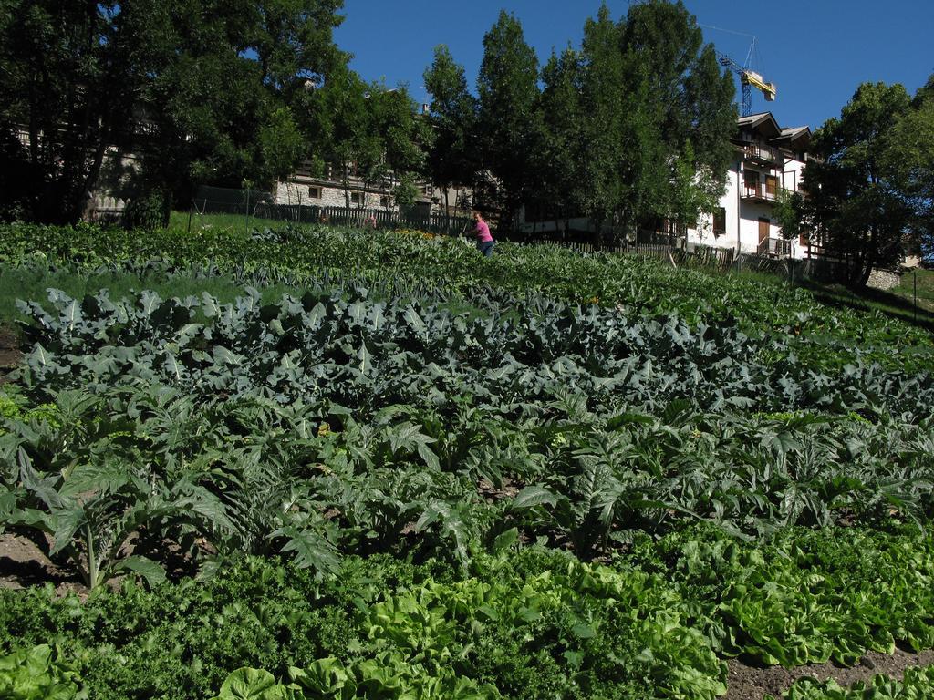 צ'זנה טורינזה Agriturismo Barba Gust מראה חיצוני תמונה
