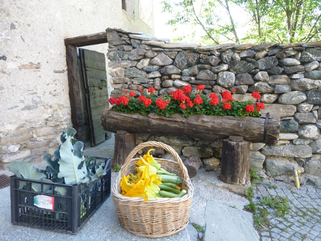 צ'זנה טורינזה Agriturismo Barba Gust מראה חיצוני תמונה